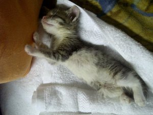 164840_1775211745810_5584906_n