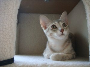 271194_2181033171092_7463632_n