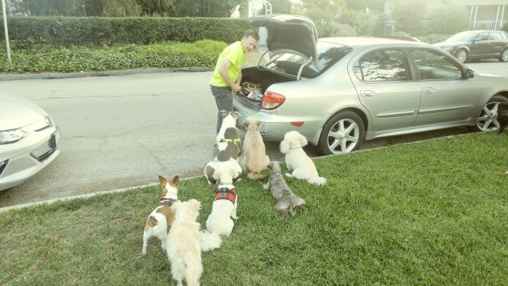 20170705_193543_Film2