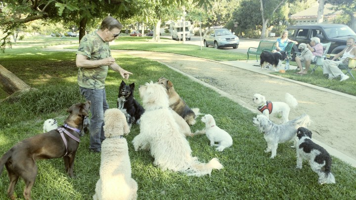 20170712_181405_Film2